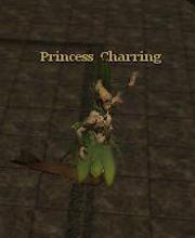 Princess Charring